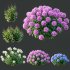 ntal richness. The Rhododendrons burst with densely packed floral spheres in rich pink, purple, and blue tones, while the Crape Ginger displays upward-pointing crimson buds atop lush, lance-shaped foliage. - Thumbnail 9