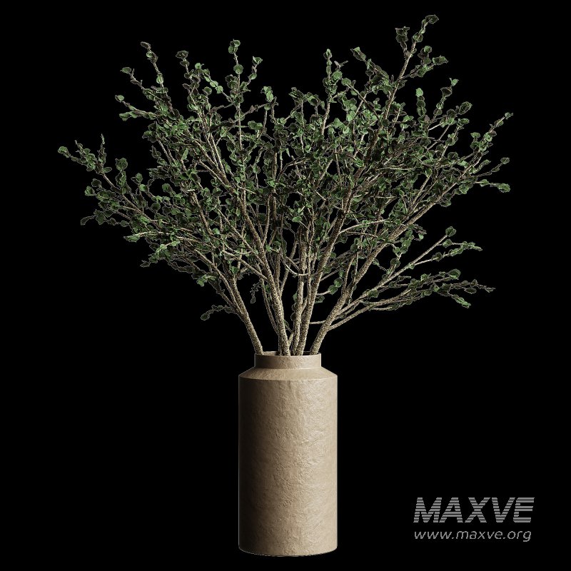 Bouquet Plant Set 02 - Image 5