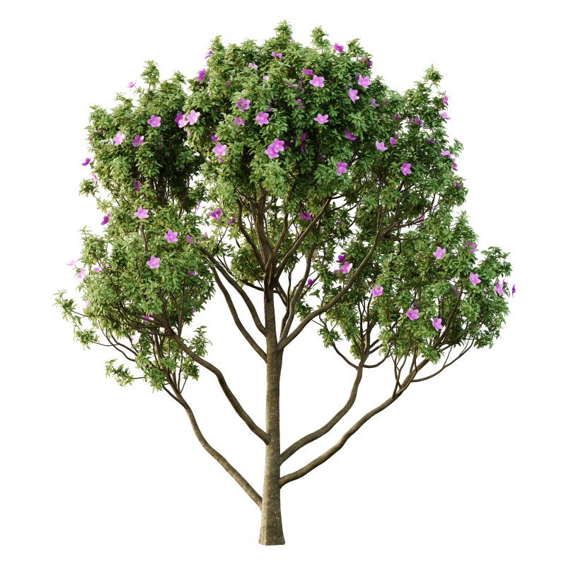 Different Trees 02 - Image 3