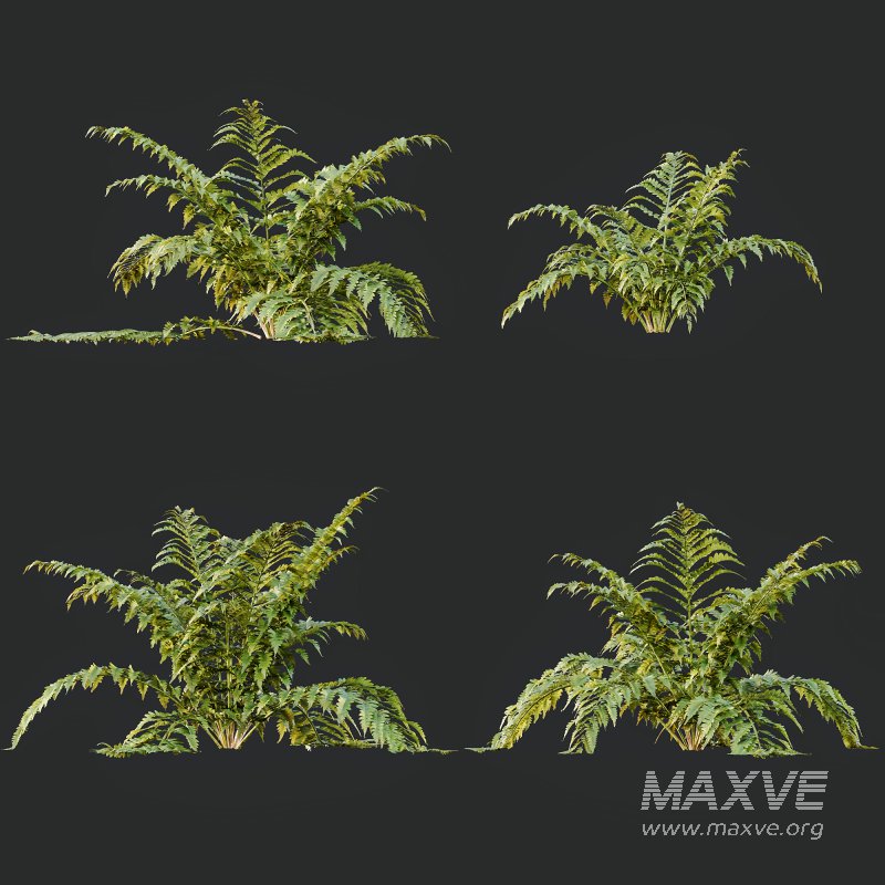 ntal form with architectural realism, ideal for photorealistic renders and naturalistic environments. - Image 13