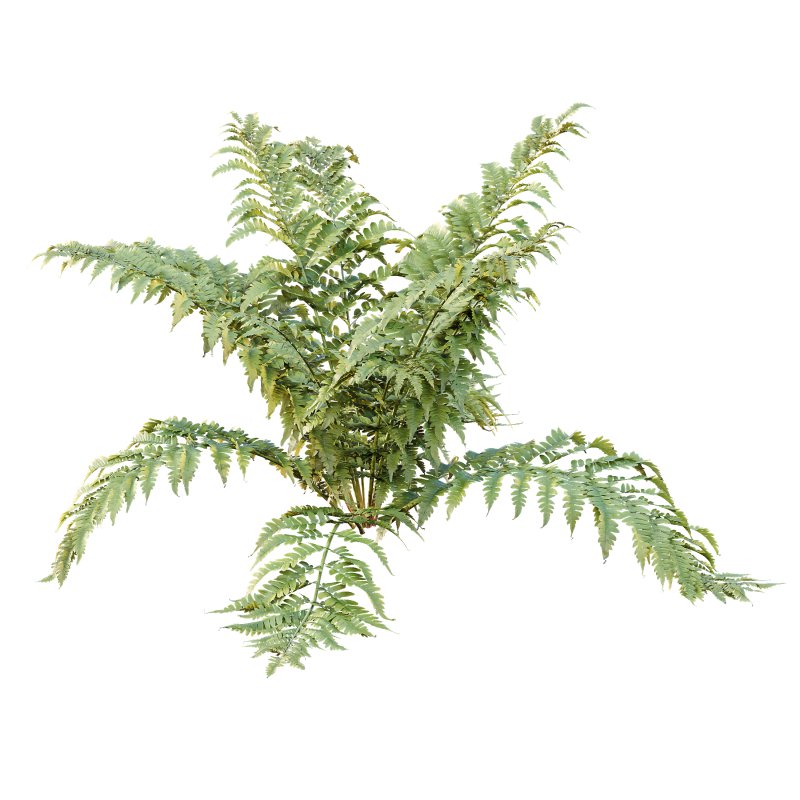 ntal form with architectural realism, ideal for photorealistic renders and naturalistic environments. - Image 2