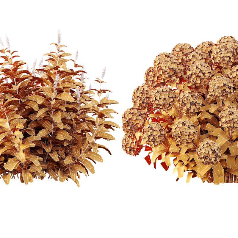 ntal richness. The Rhododendrons burst with densely packed floral spheres in rich pink, purple, and blue tones, while the Crape Ginger displays upward-pointing crimson buds atop lush, lance-shaped foliage. - Image 11