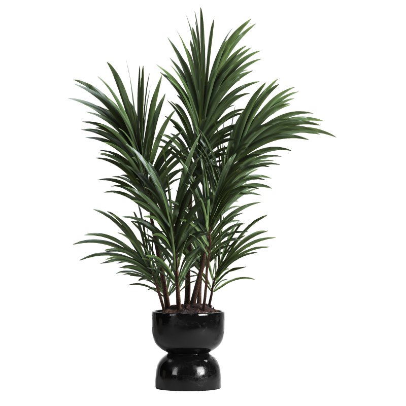 indoor plant 019 - Image 4