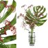 bouquet - Thumbnail 3