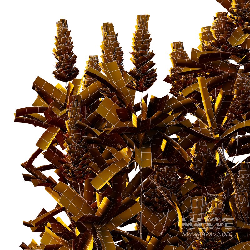 Italian Cypress Tree 4 - Image 4