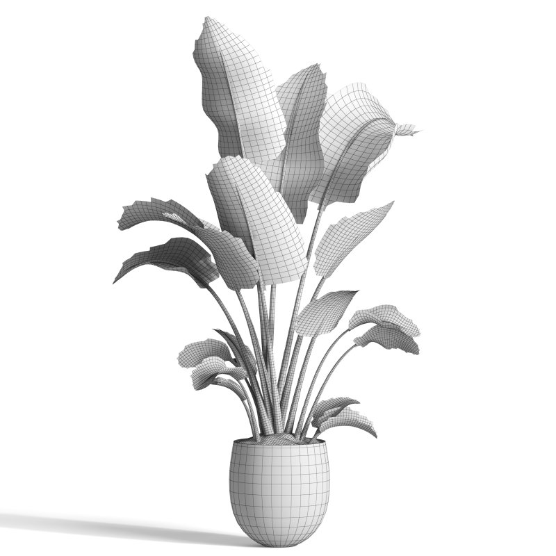 indoor plant 10 - Image 4