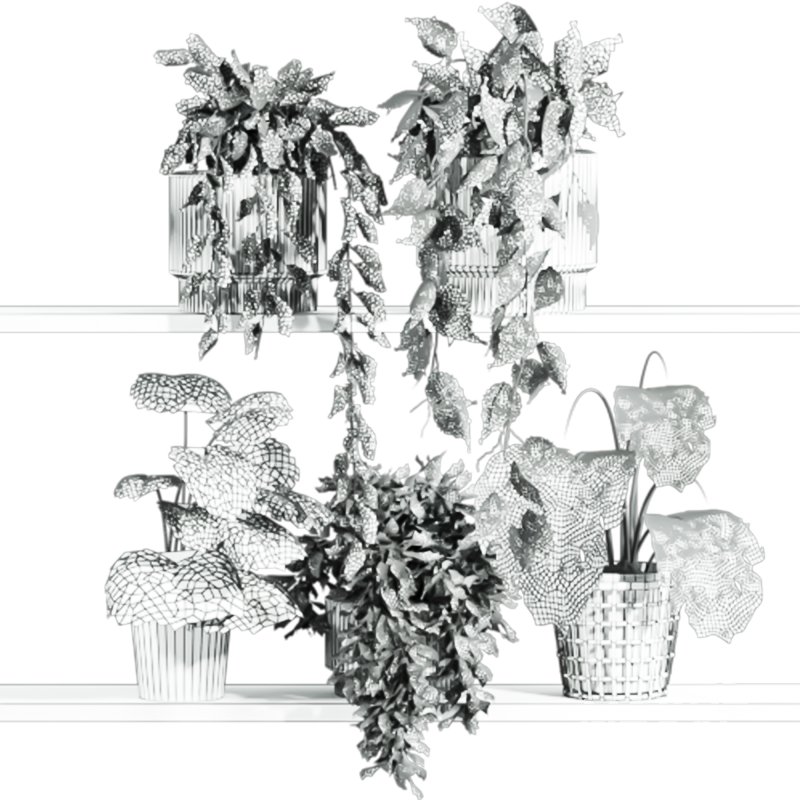 plants set on shelf - Image 2