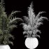 Indoor Plant Set 003 - Thumbnail 3