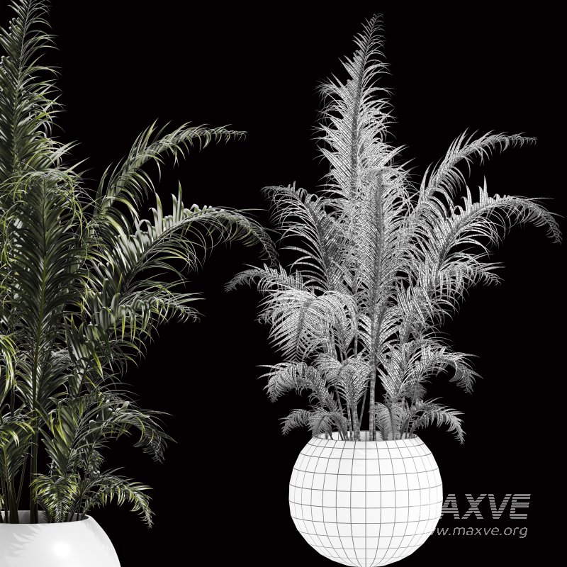 Indoor Plant Set 003 - Image 3