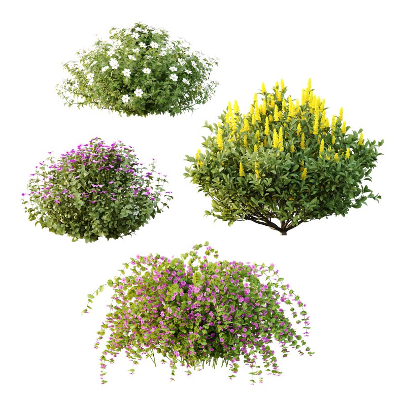 Different bush 18 - Image 4