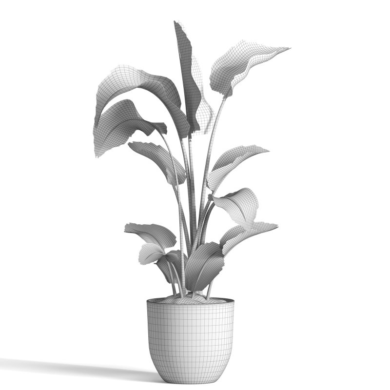 indoor plant 09 - Image 5