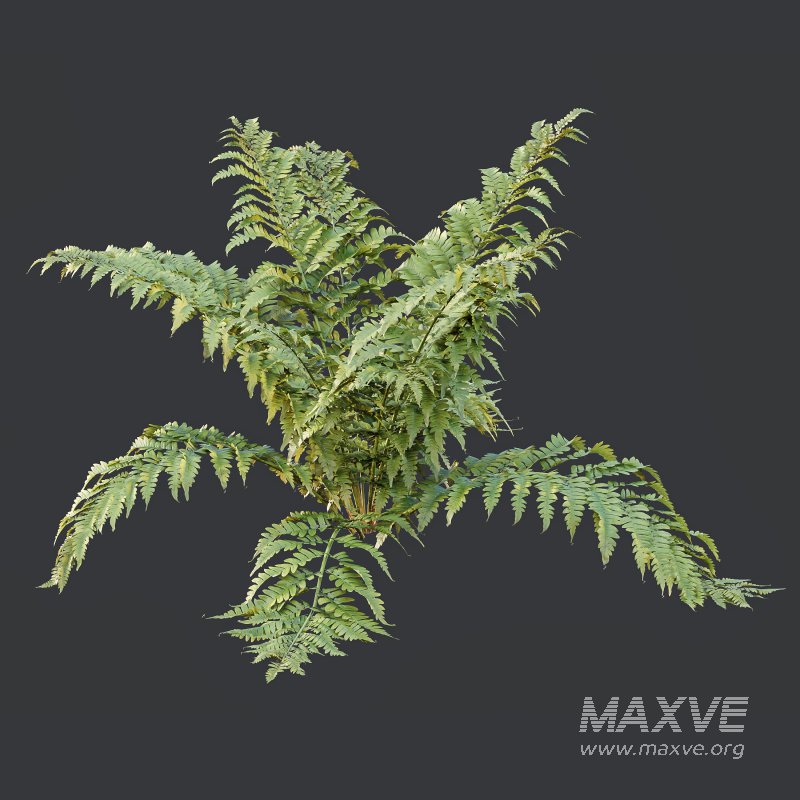 ntal form with architectural realism, ideal for photorealistic renders and naturalistic environments. - Image 5