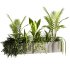 Indoor plants- Hanging Plants in Box- set177 - Thumbnail 6