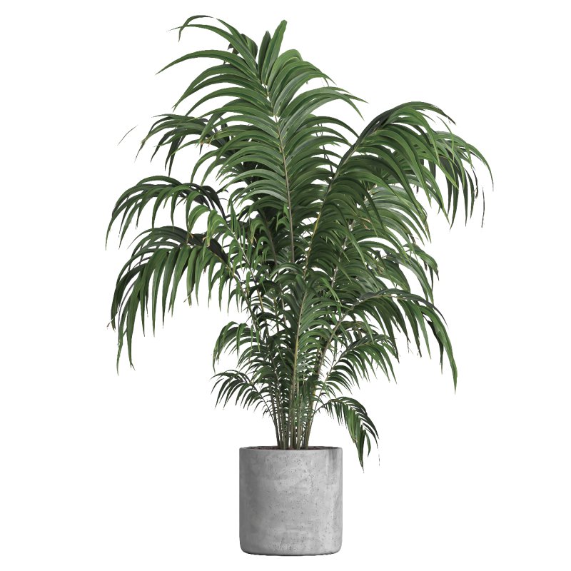 indoor plant 034 - Image 2