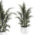 Indoor Plant Set 003 - Thumbnail 7