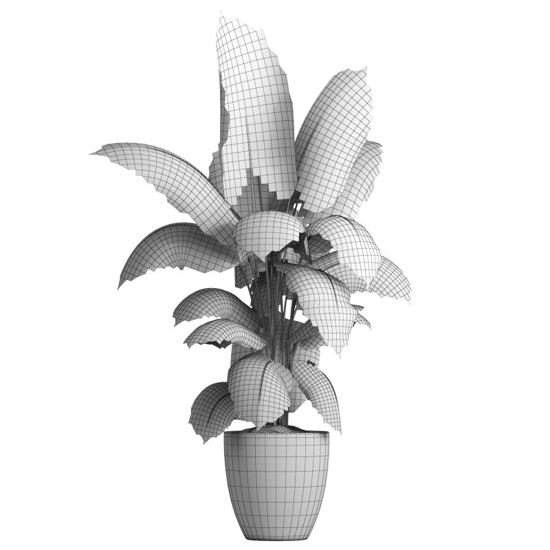 indoor plant 037 - Image 4