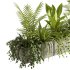 Indoor plants- Hanging Plants in Box- set177 - Thumbnail 3