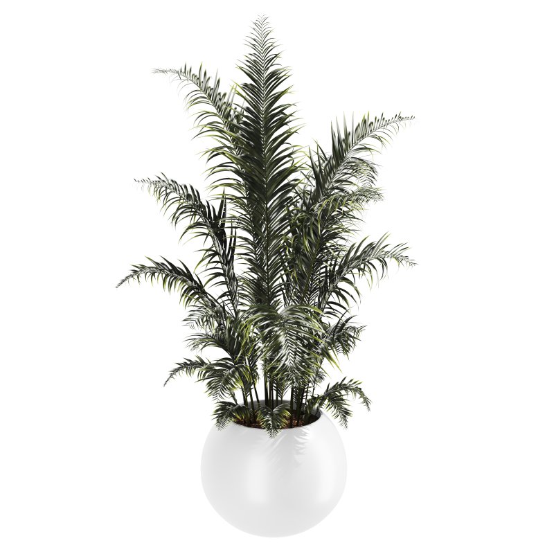 Indoor Plant Set 003 - Image 6