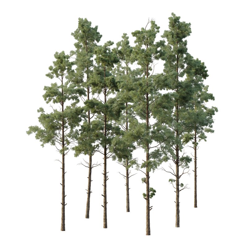 Pin Tree 002 - Image 6