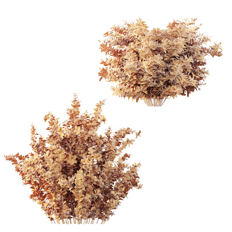 ntal spring shrubs. Featuring the **Hibiscus Rosa-Sinensis**, known as Red Chinese Hibiscus, with its iconic deep red blossoms symbolizing passion and vitality, paired with the lush, compact form of **Abelia Radiance Sherwood**, celebrated for its variegated green foliage and seasonal charm. These species are native to East Asia and the Mediterranean and are commonly used in residential landscaping, luxury gardens, and resort environments. Each leaf and petal has been sculpted with botanical accuracy to provide unmatched visual richness. - Image 12