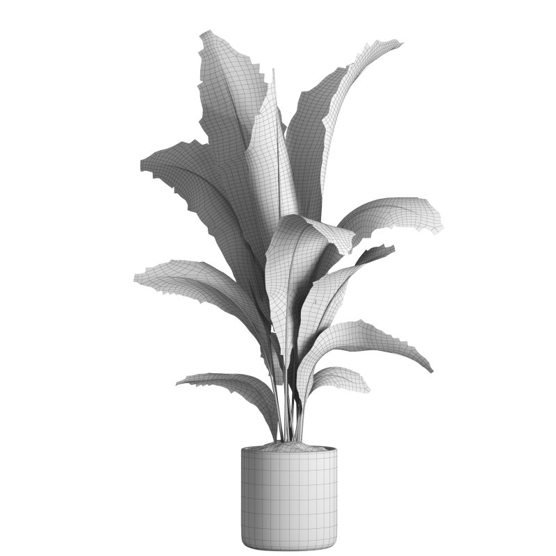 indoor plant 020 - Image 5