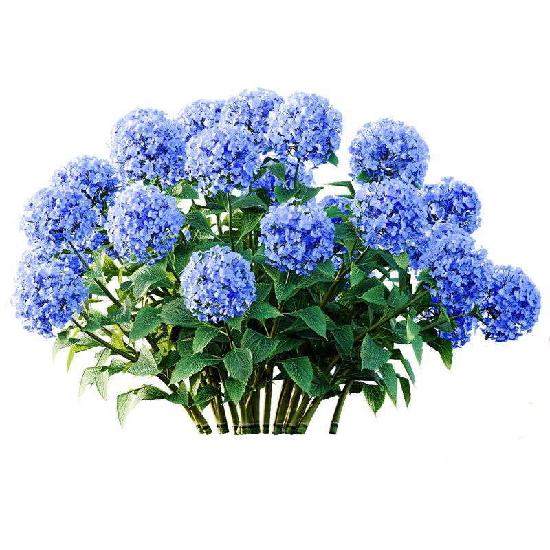 ntal richness. The Rhododendrons burst with densely packed floral spheres in rich pink, purple, and blue tones, while the Crape Ginger displays upward-pointing crimson buds atop lush, lance-shaped foliage. - Image 4