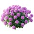 ntal richness. The Rhododendrons burst with densely packed floral spheres in rich pink, purple, and blue tones, while the Crape Ginger displays upward-pointing crimson buds atop lush, lance-shaped foliage. - Thumbnail 5