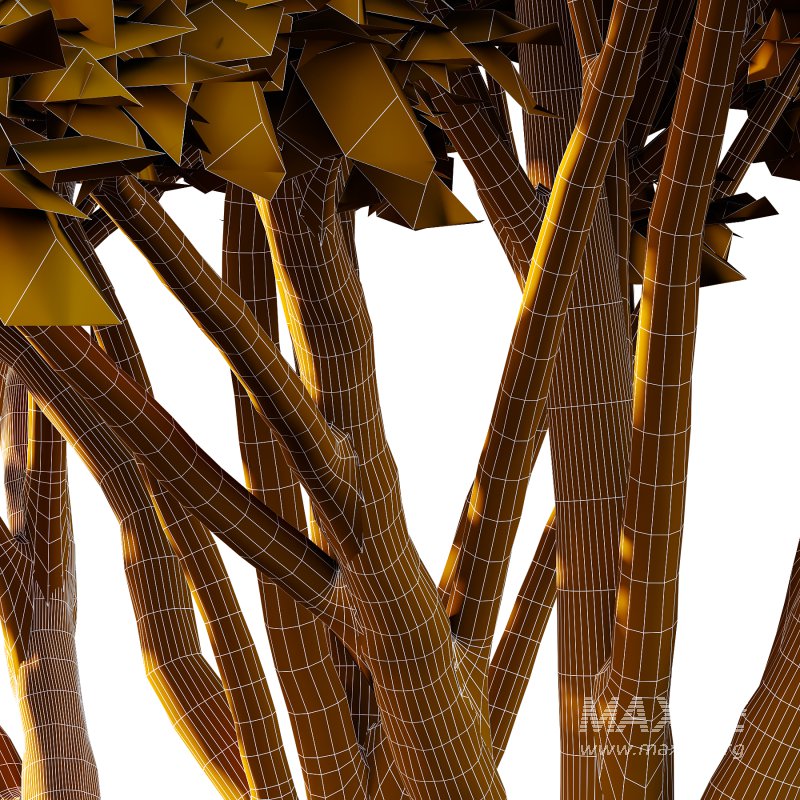 Acer Pseudoplatanus Tree 09 - Image 3