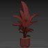 Indoor plant 017 - Thumbnail 5