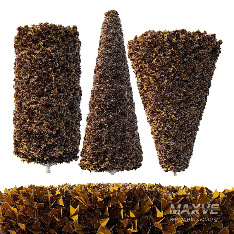 Pinus Mugo Bush002 - Image 2