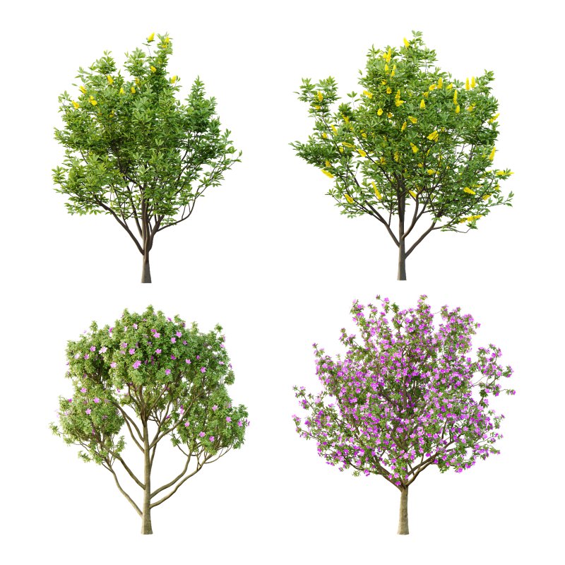 Different Trees 02 - Image 1