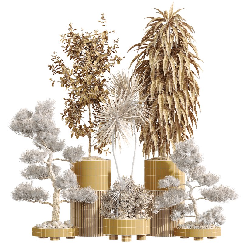 AV Indoor Plants Set 246 Ficus Braid and Beech Olea and Bonsai Pinus and Spineless Yucca and Olive - Image 6