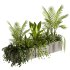 Indoor plants- Hanging Plants in Box- set177 - Thumbnail 2