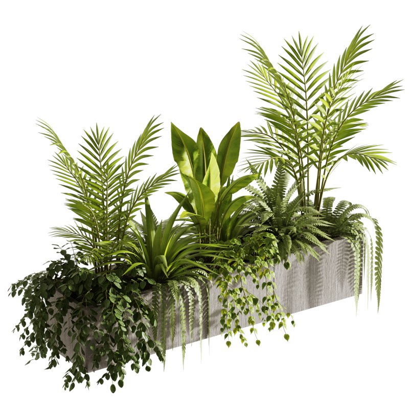 Indoor plants- Hanging Plants in Box- set177 - Image 2