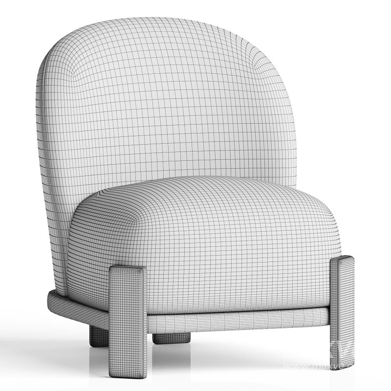 Hipicon Cosmos Berjer - Image 2