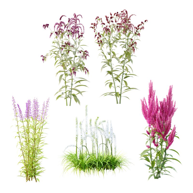 5 Different Model - Image 3