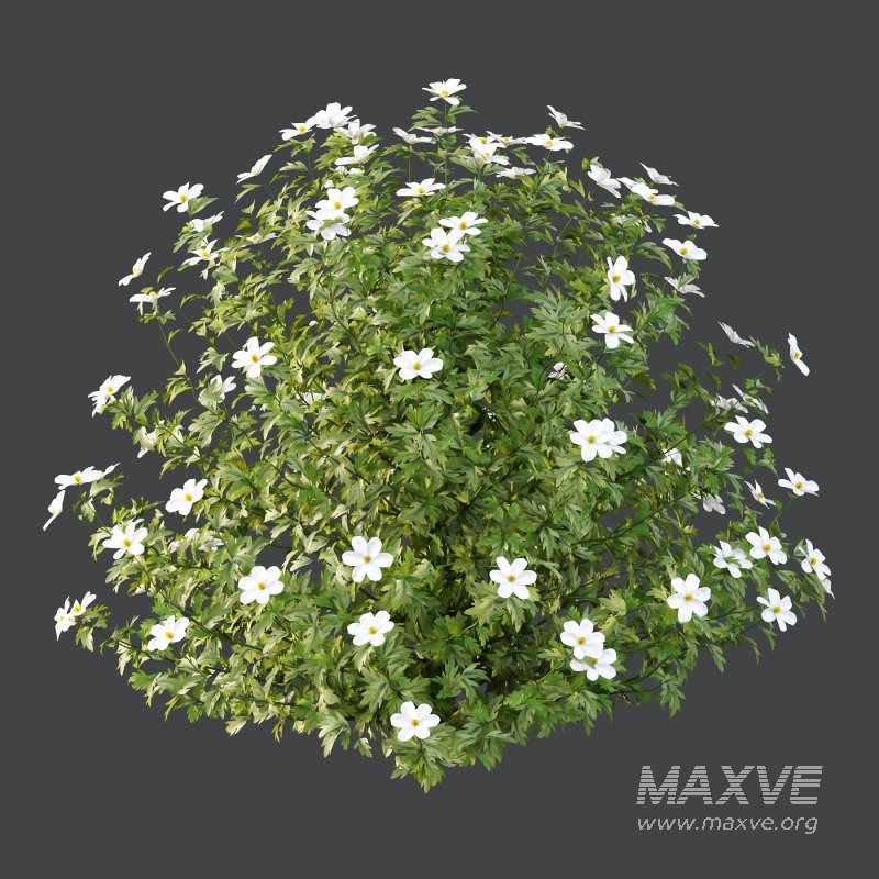 Different bush 15 - Image 6