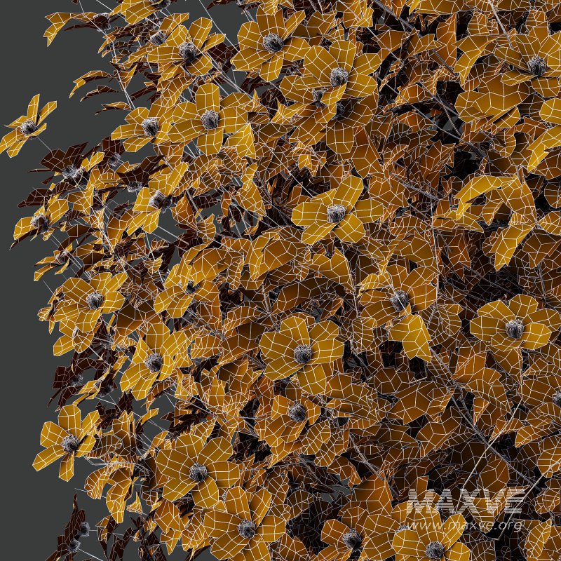 Different bush 15 - Image 2