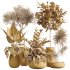 AV Indoor Plants Set 244 Ficus Indian Spineless Yucca Zamiifolia Mission Olive Alocasia - Thumbnail 6