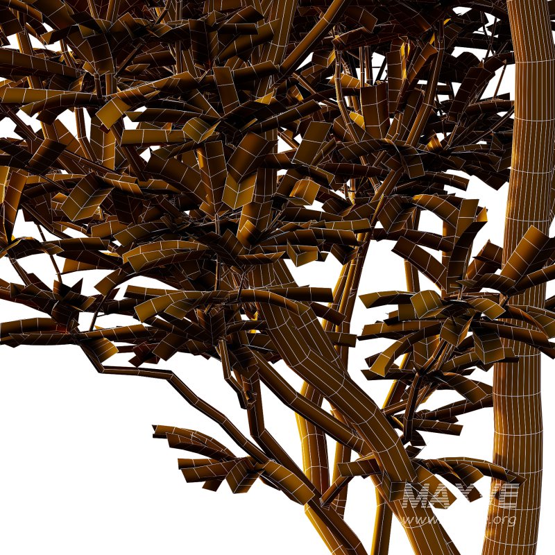 Different Trees 03 - Image 5