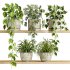 plants set on shelf - Thumbnail 1