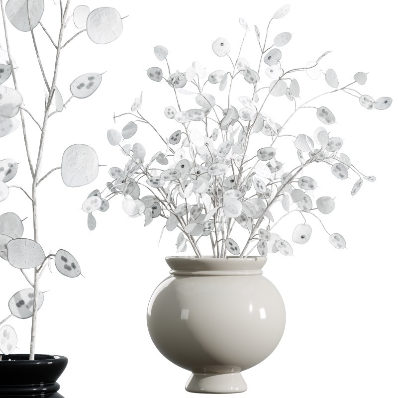 “Money Plant.” - Image 2