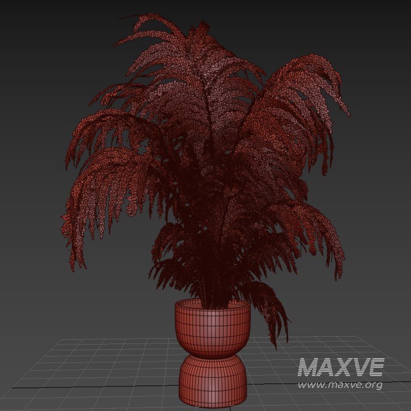 Indoor plant 013 - Image 5