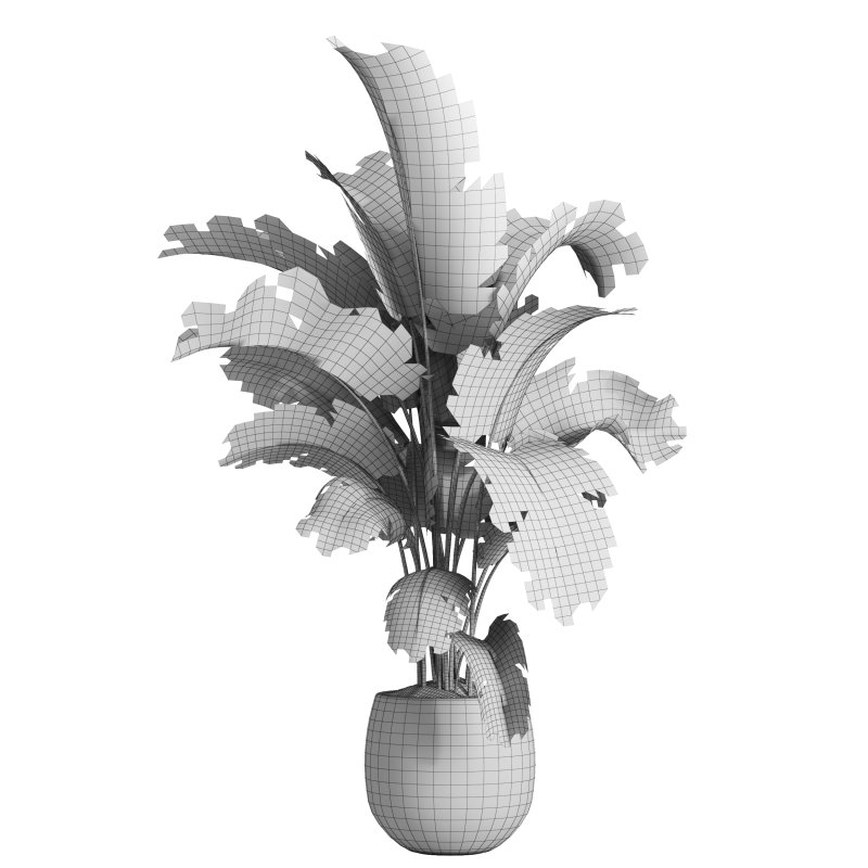 indoor plant 036 - Image 5