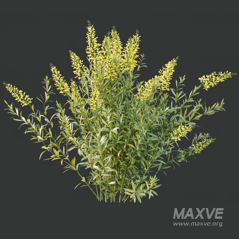 ntal form with architectural realism, ideal for photorealistic renders and naturalistic environments. - Image 7