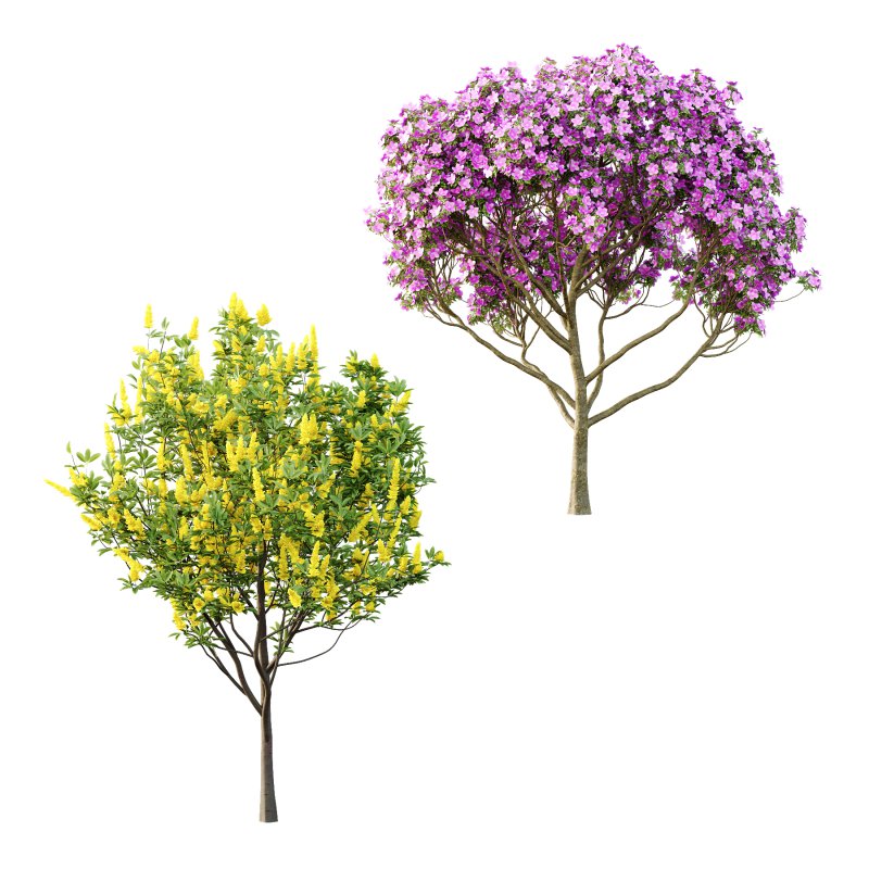 Different Trees 03 - Image 3