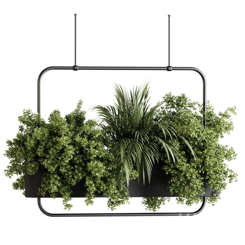 Indoor plants- Hanging Plants in Box- set178 - Image 3