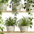 plants set on shelf - Thumbnail 2