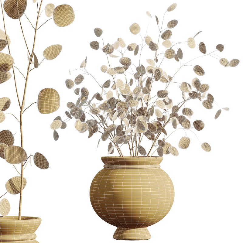 “Money Plant.” - Image 3