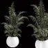 Indoor Plant Set 003 - Thumbnail 8